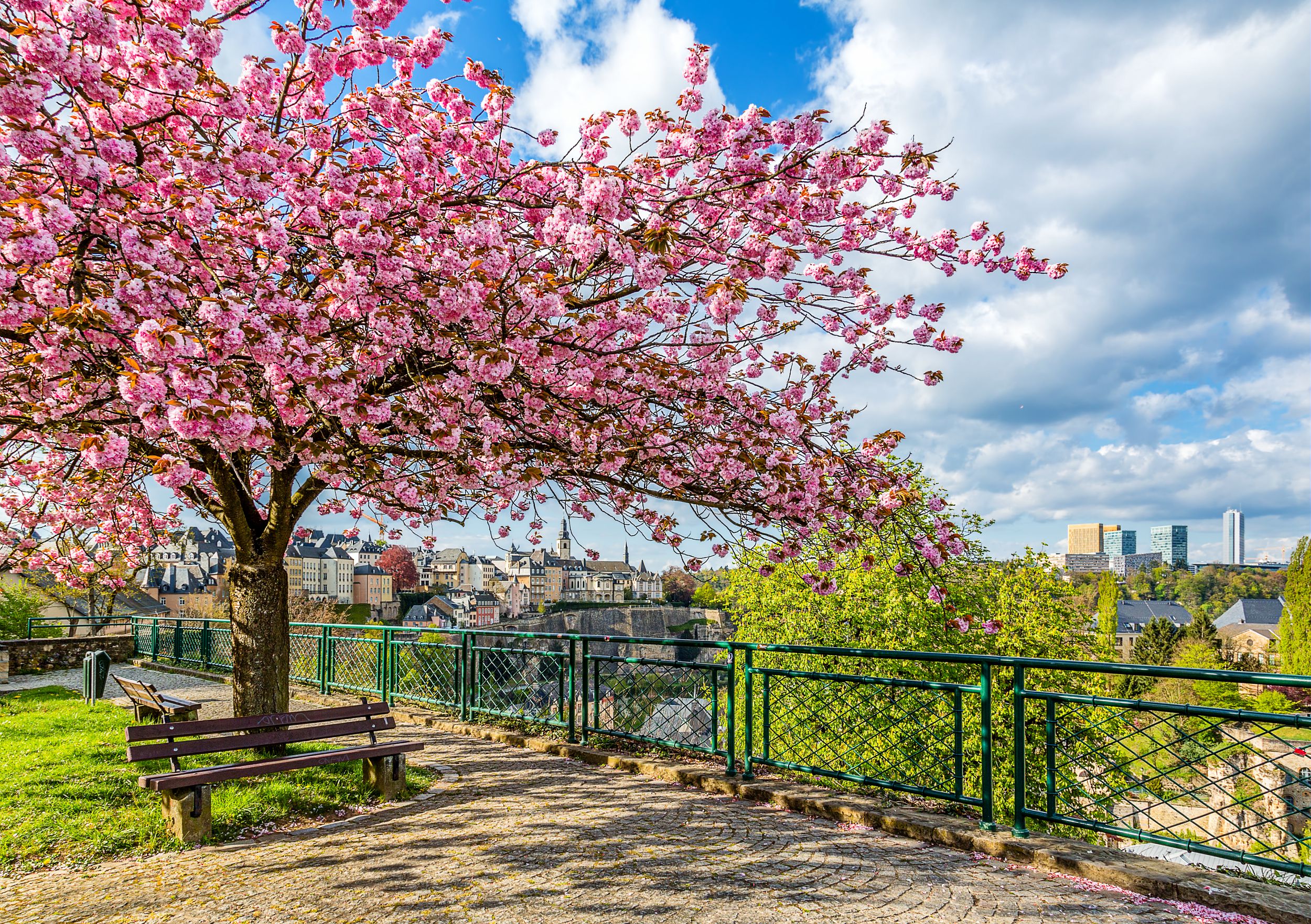 Printemps
