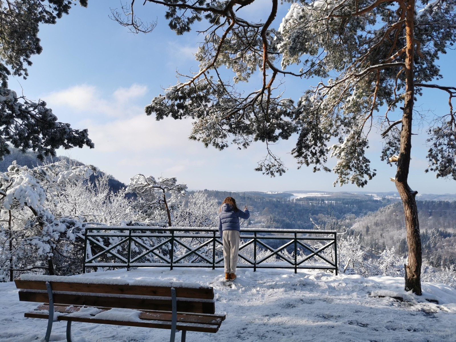Berdorf  Plateau Ruetsbech in winter (c) ORT MPSL (26)