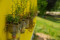 Web-diariesof-06670