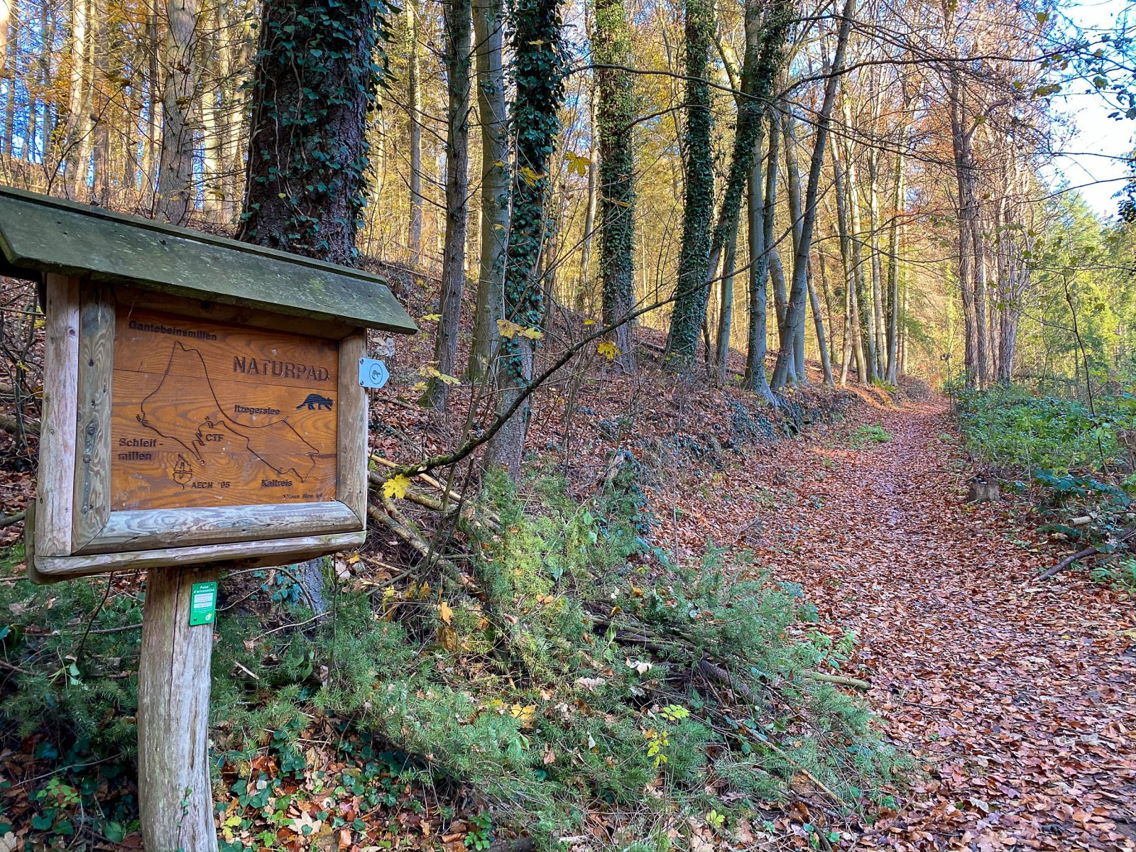 Holzinformationstafel an einem Waldweg im Alzette-Tal, im Viertel Pulvermühl, umgeben von Bäumen.