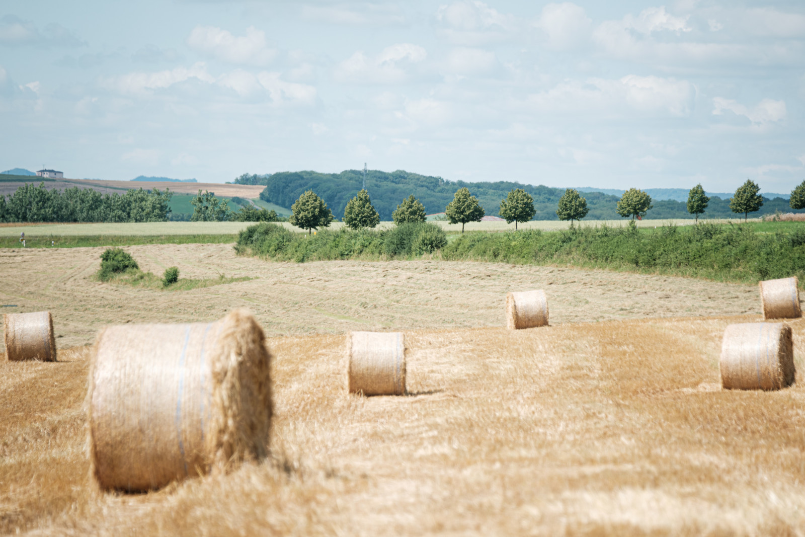 20240717_Avant-pays mosellan_Pancake! Photographie (34)