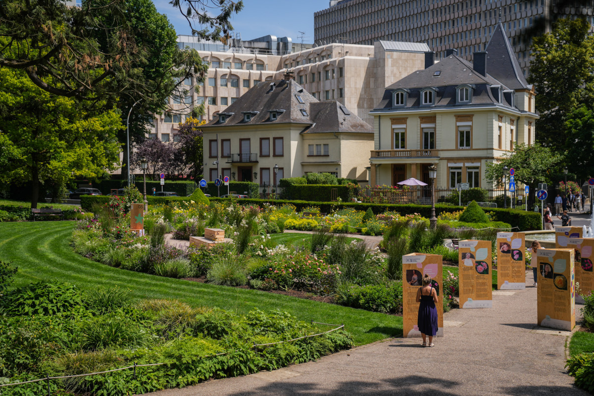 Web-diariesof-06415 - ©test