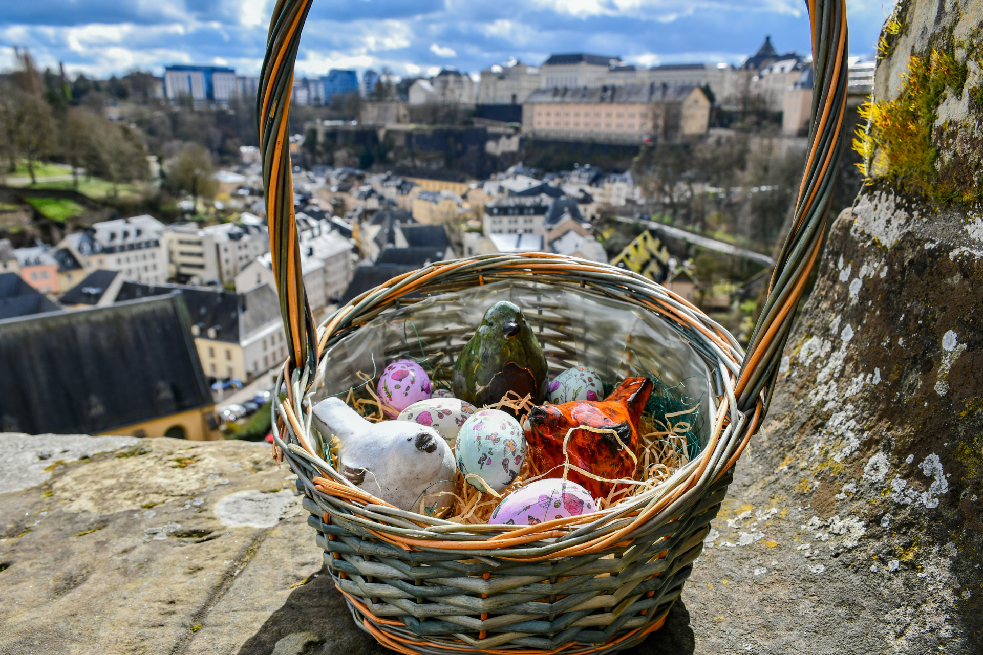 20230321 Easter Safari