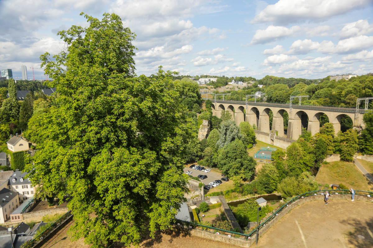 22-diariesof-5D__4405