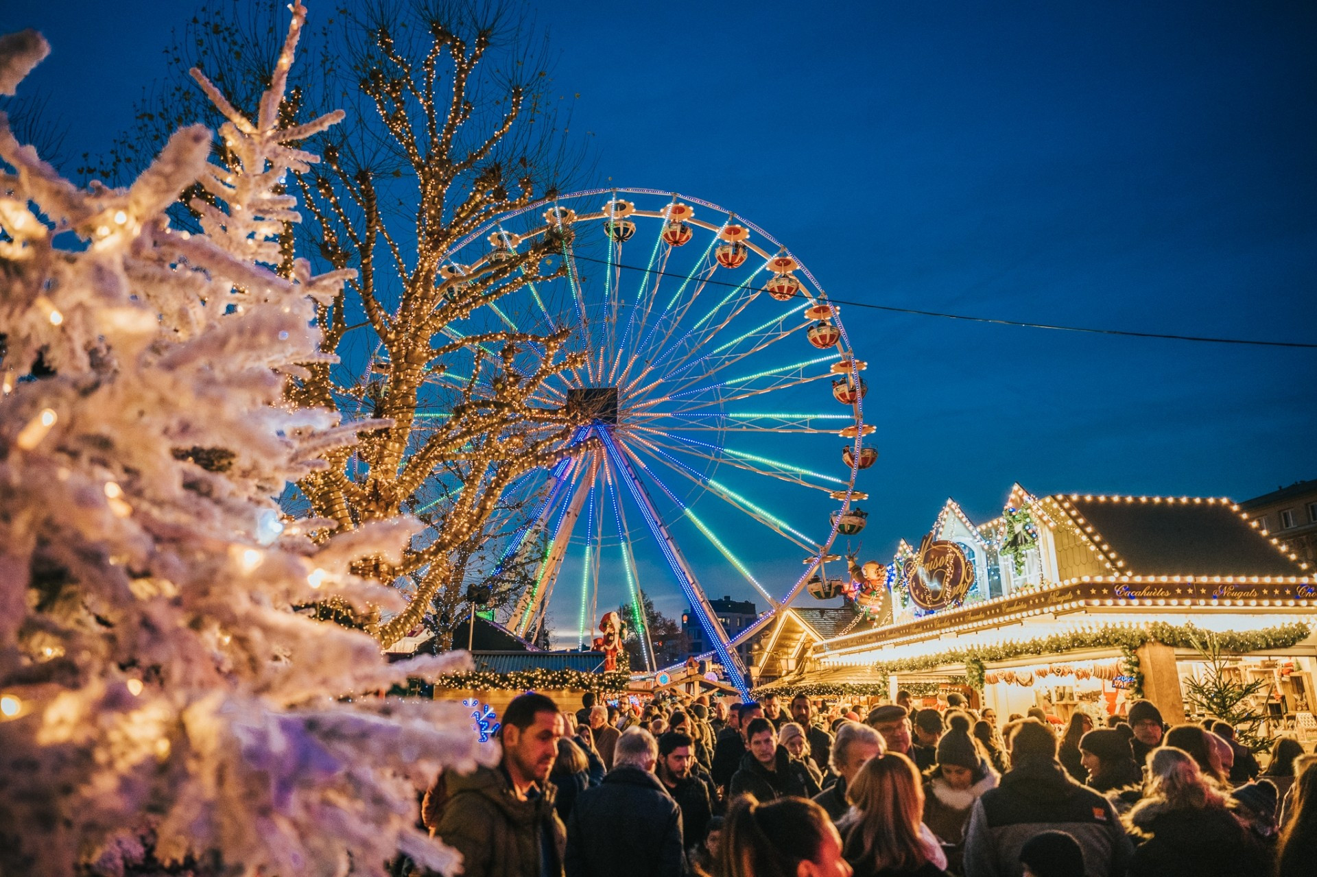 winterlights-inet-marc-lazzarini-standart-97