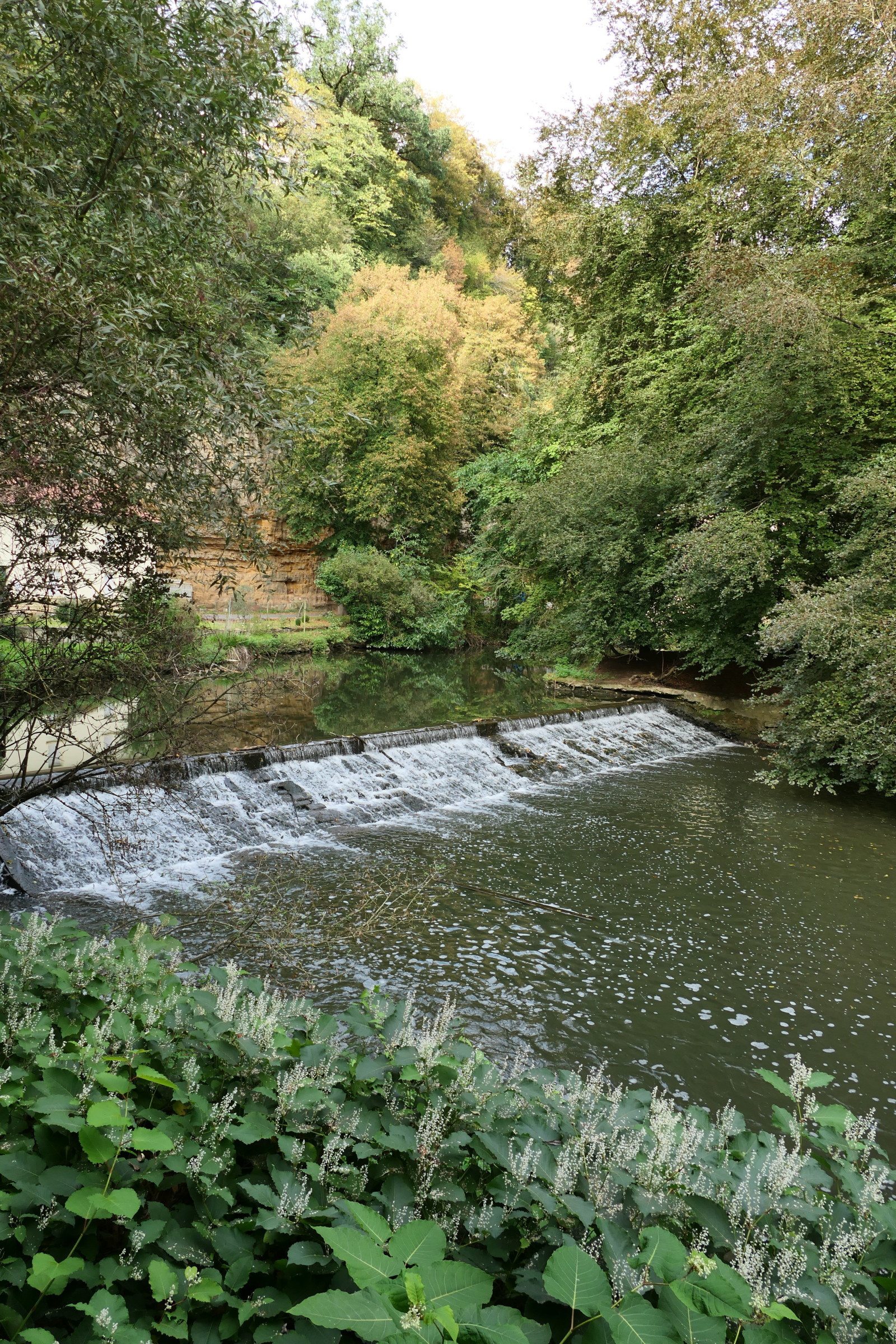 Künstliches Stauwehr an der Alzette in Pulvermühle, umgeben von grüner Vegetation und fließendem Wasser.