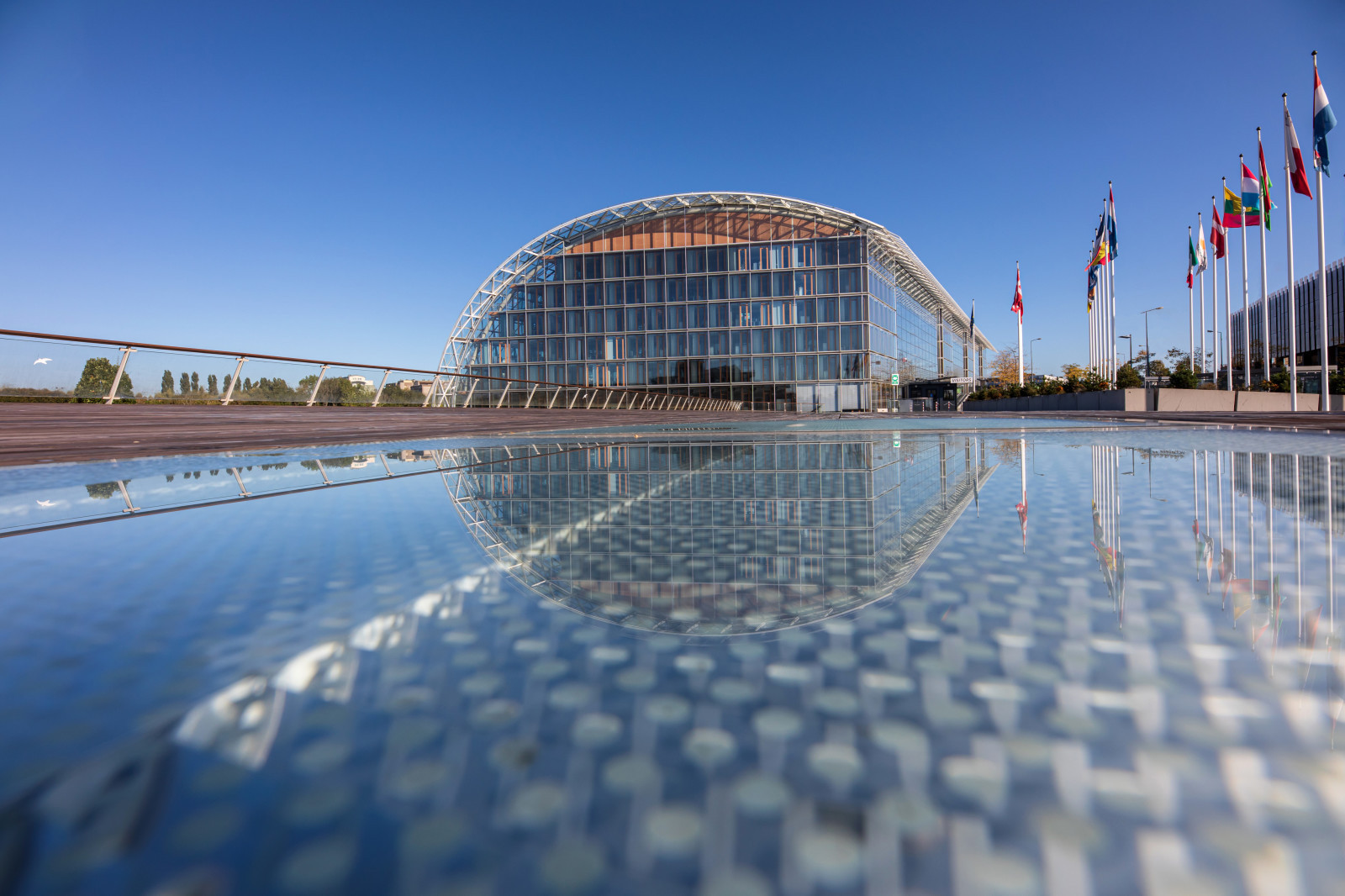 1VIO_7793_photodudau