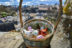 « Safari de Pâques » : Une visite guidée ludique pour les enfants