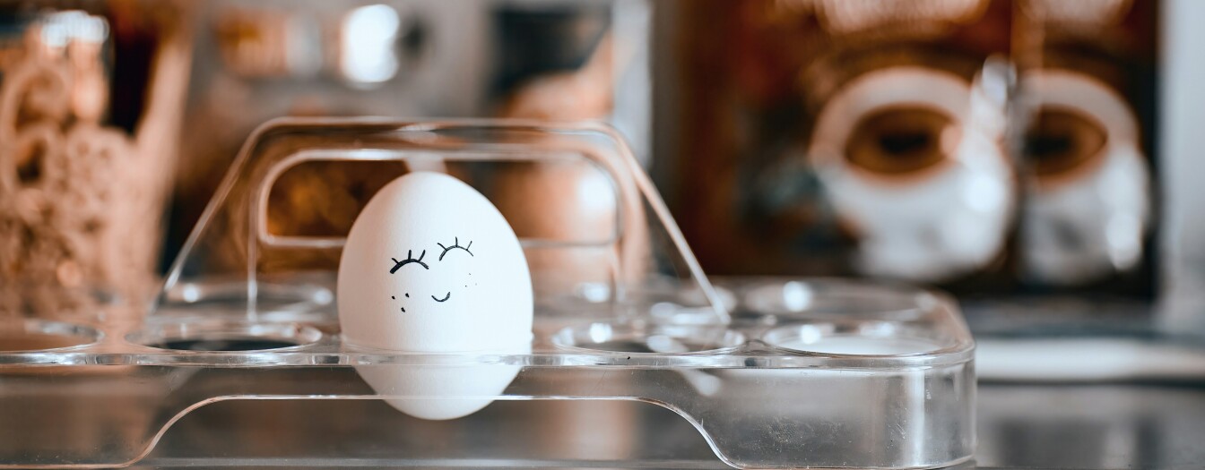 Hunt for something new this spring!