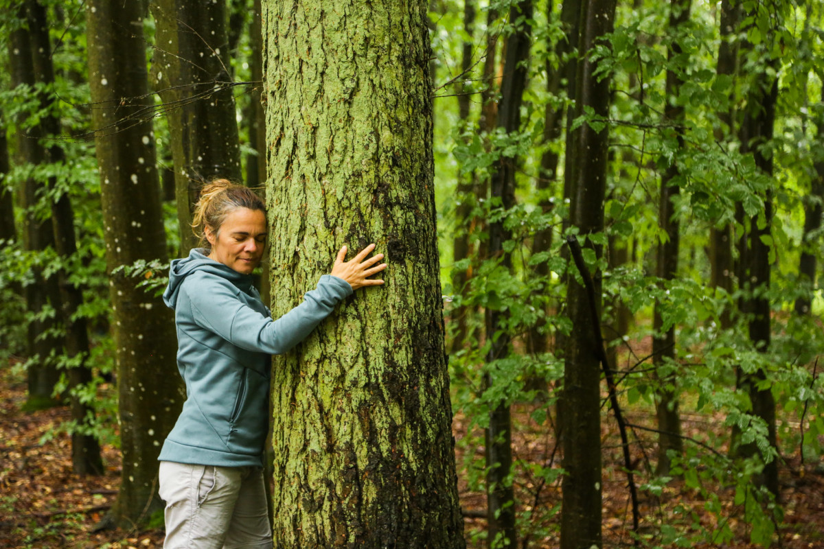 diariesof-forest bathe-Bambesch-5D__4504