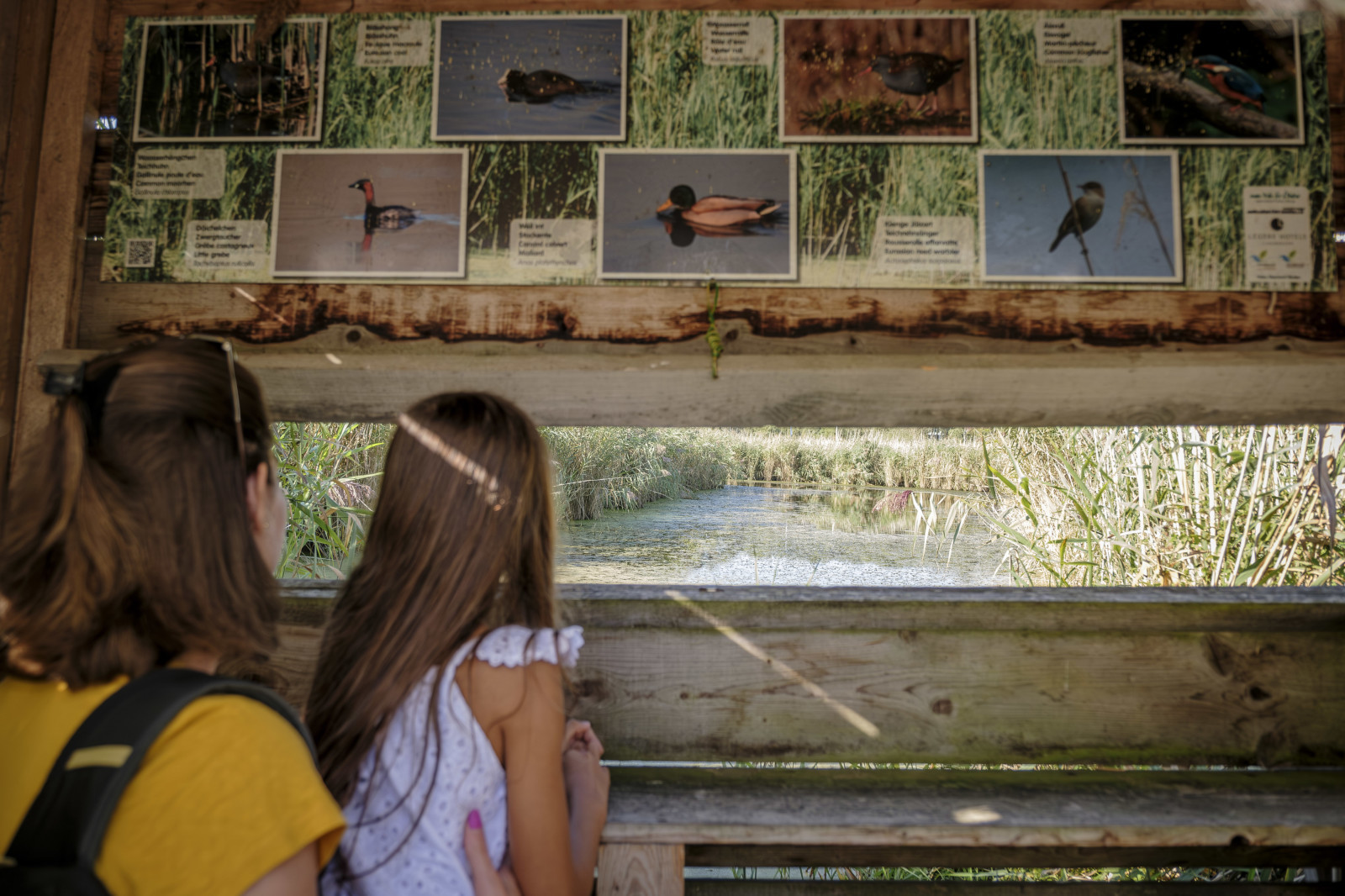 SCHUTTRANGE-Schlwammwiss-©Pancake Photographie (32)