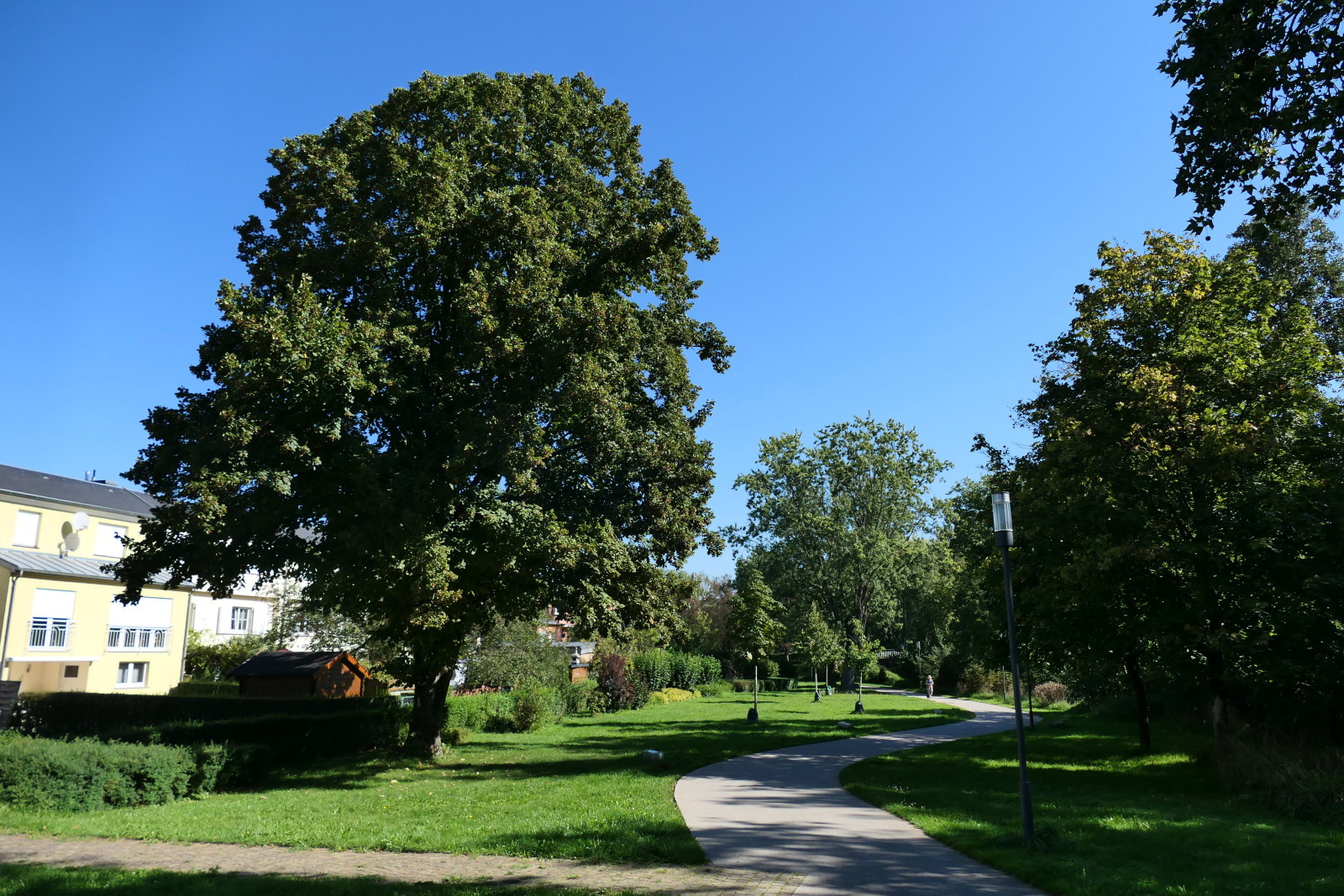 006_Cessange_Park am Zéissenger Bach © Joscha Remus