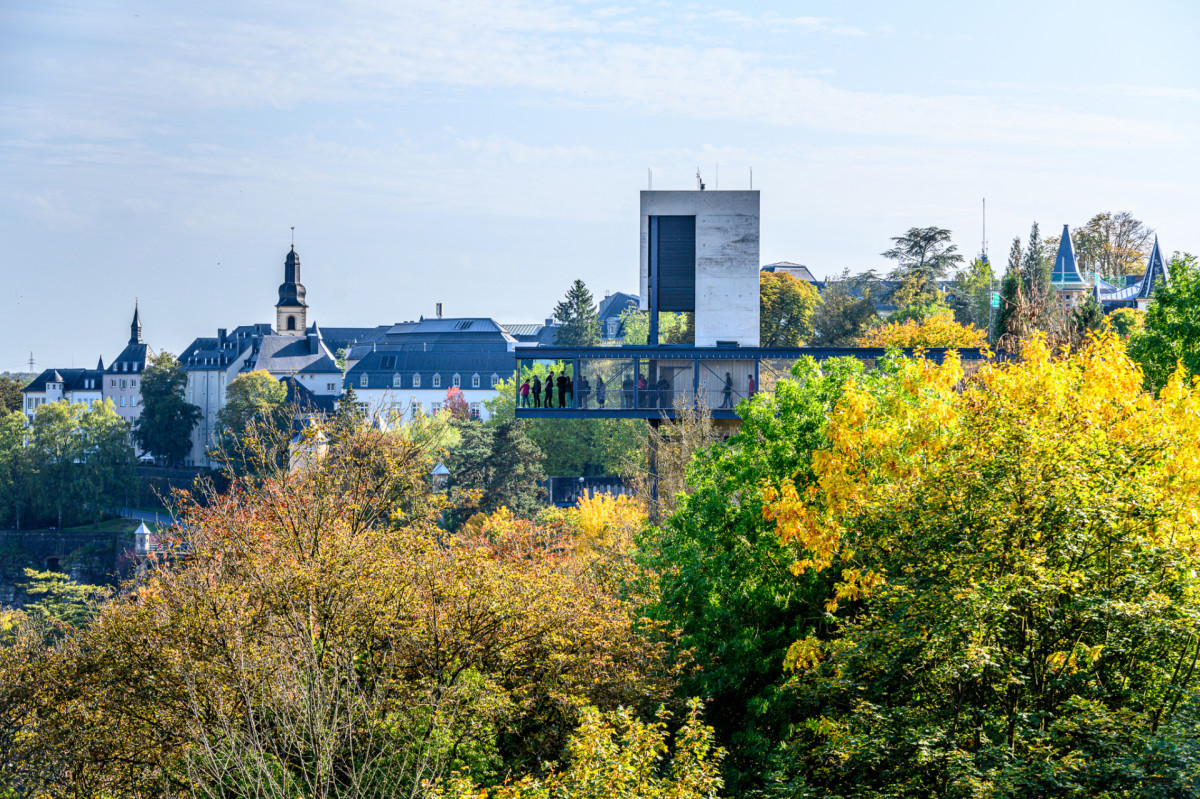 cto-lift-inet-marc-lazzarini-standart-40-of-47-