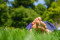 Web-diariesof-06451
