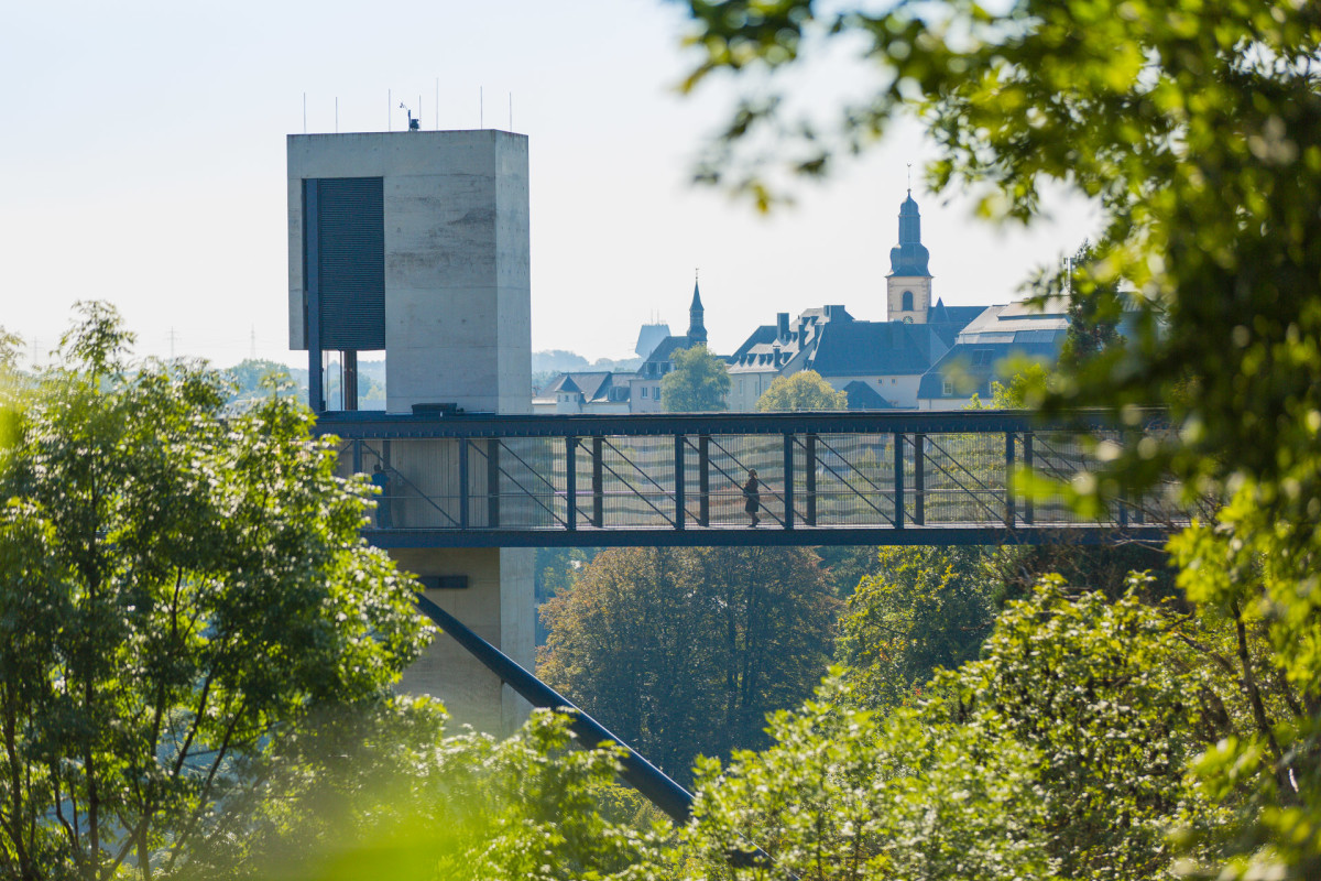 11-diariesof-5D__8171