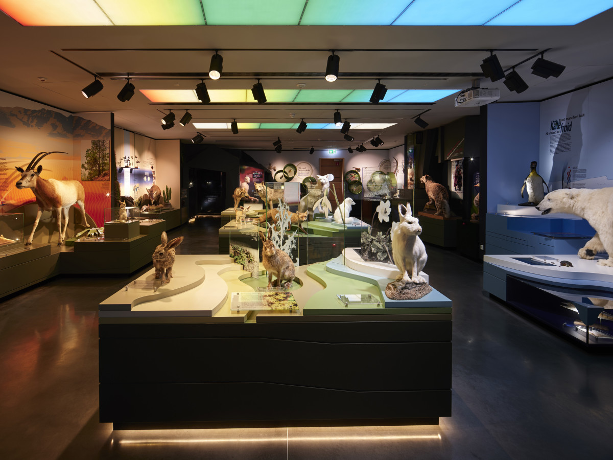 national-museum-of-natural-history_pic